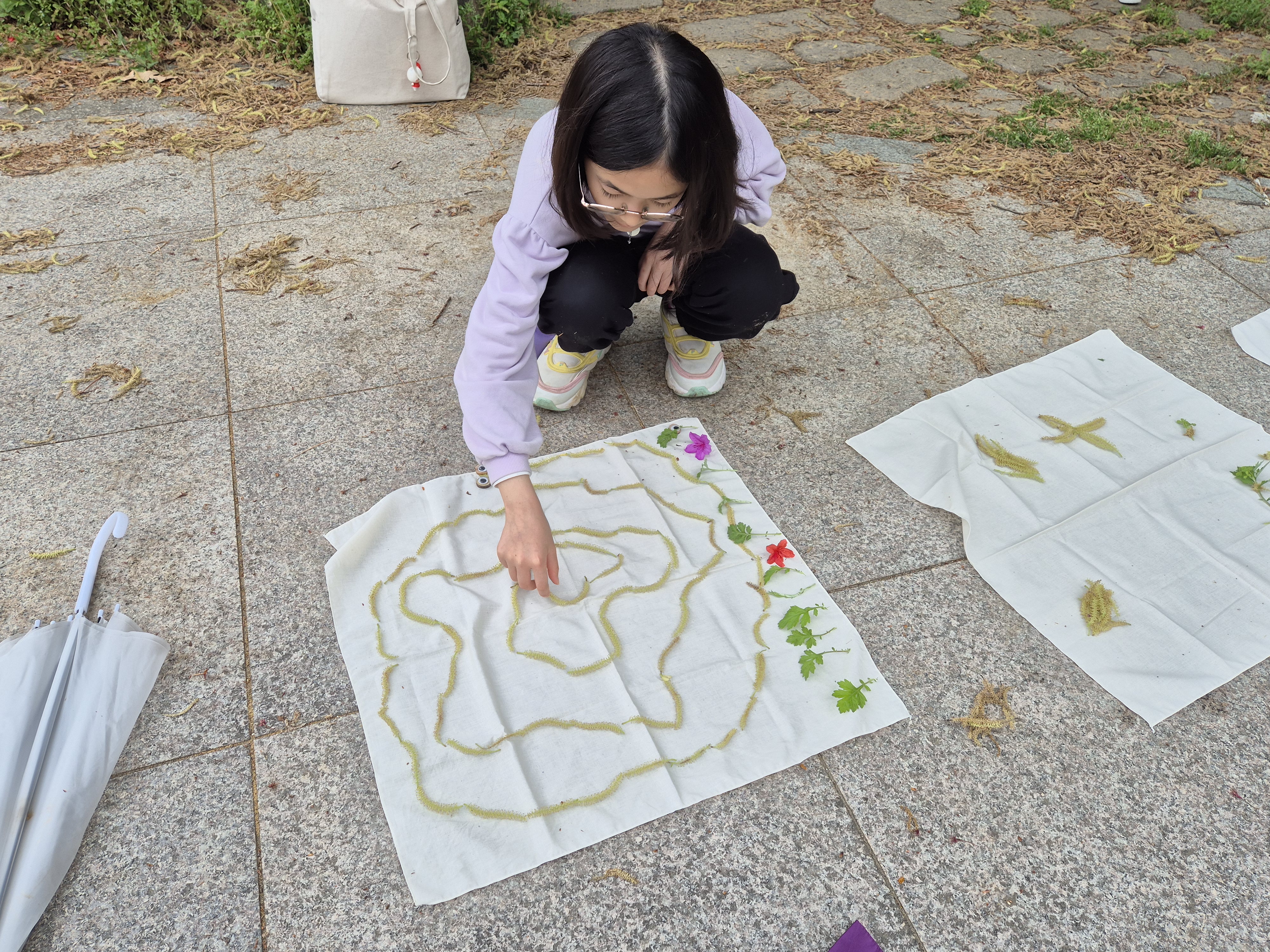 세상에서 가장 큰 애벌레