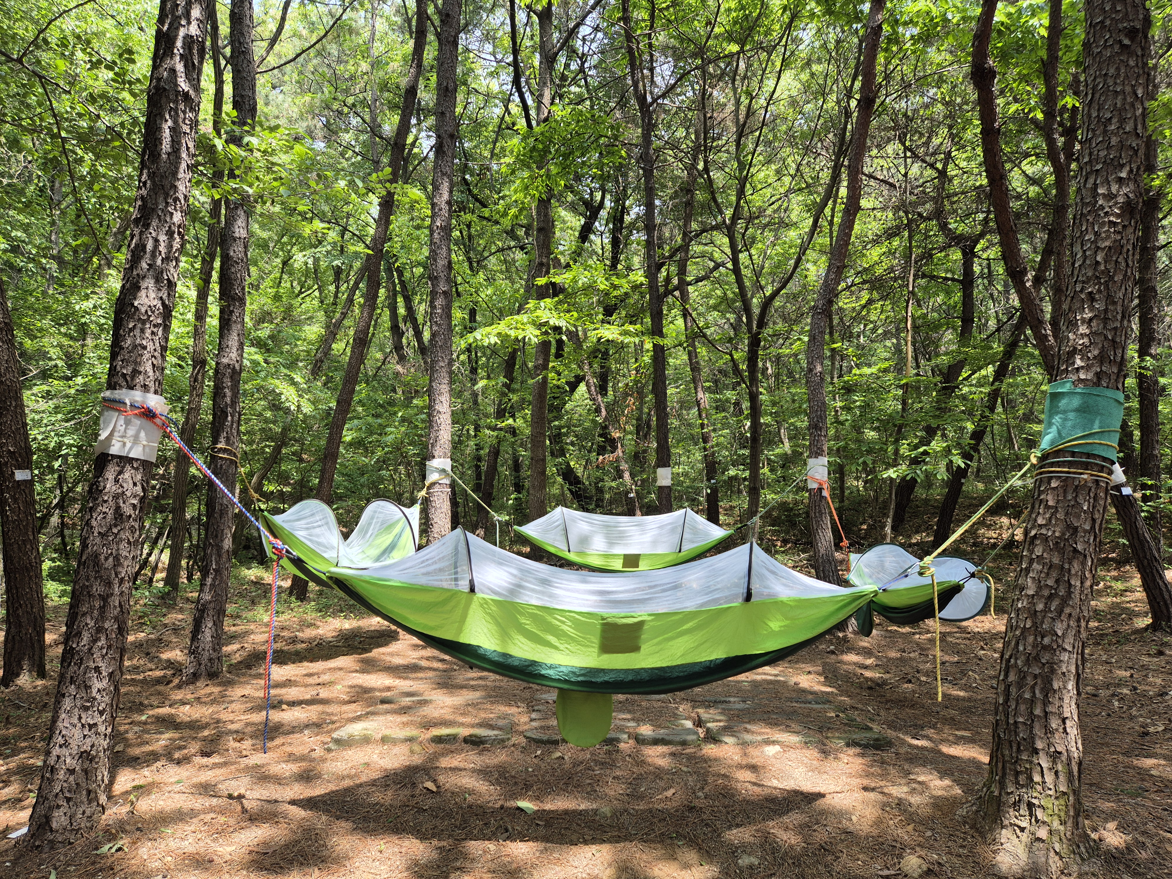 해먹에서 단잠자리