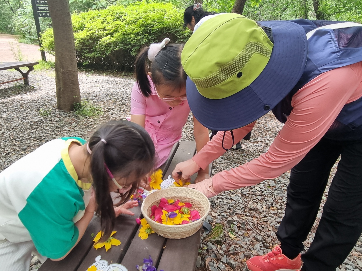 꽃으로 나비 관찰하기