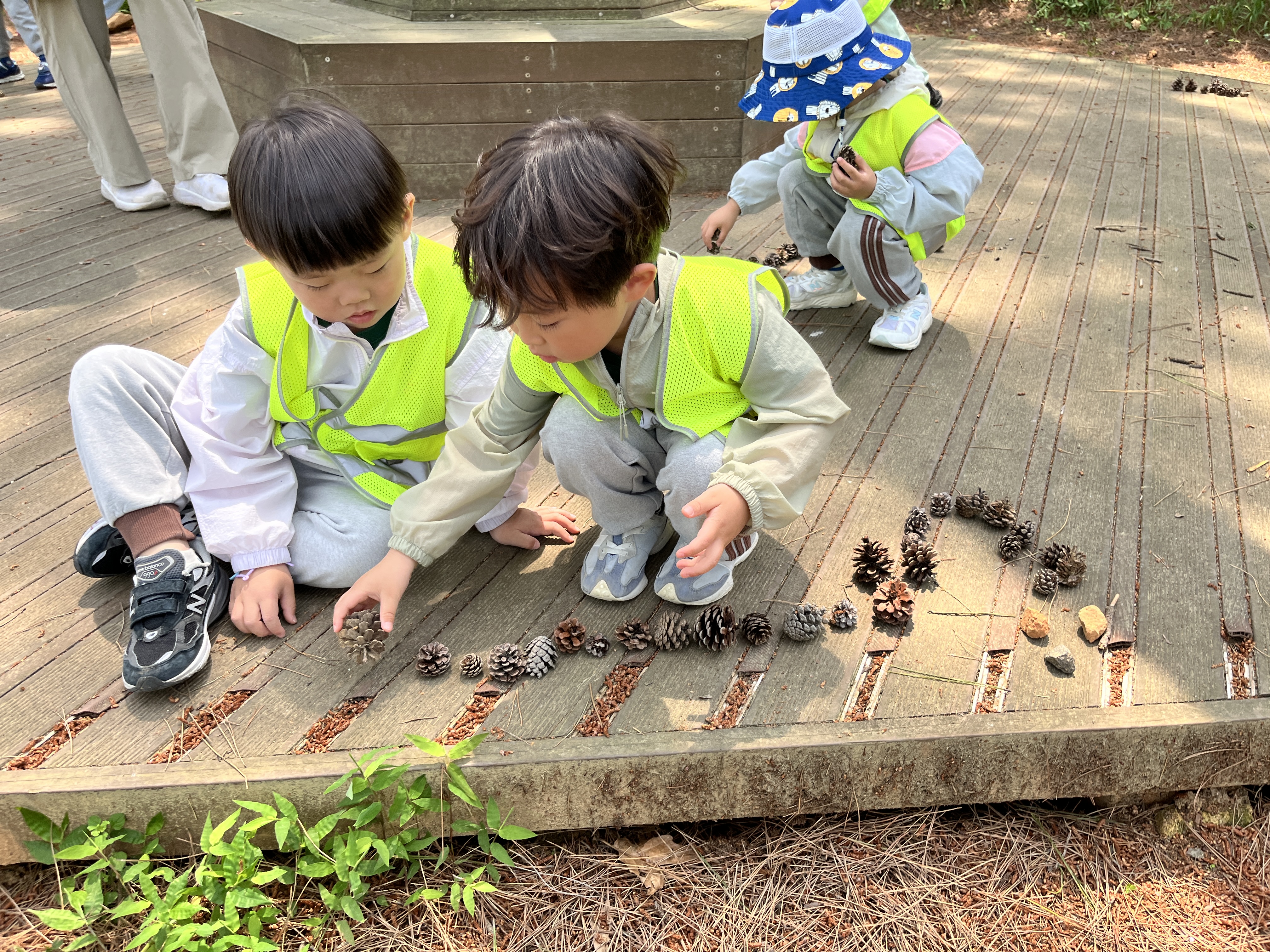 귀여운 애벌레.