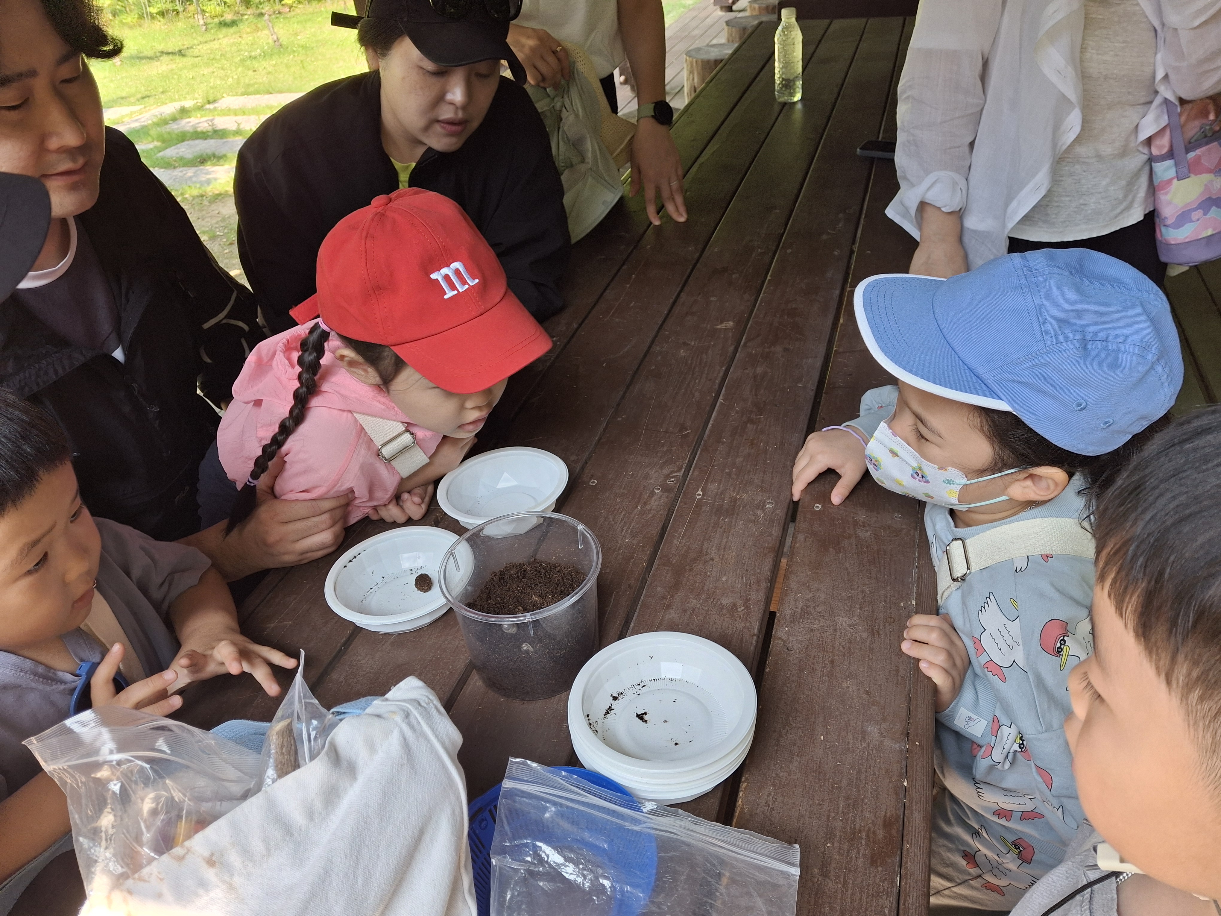 흰점박이 꽃무지 애벌레 관찰