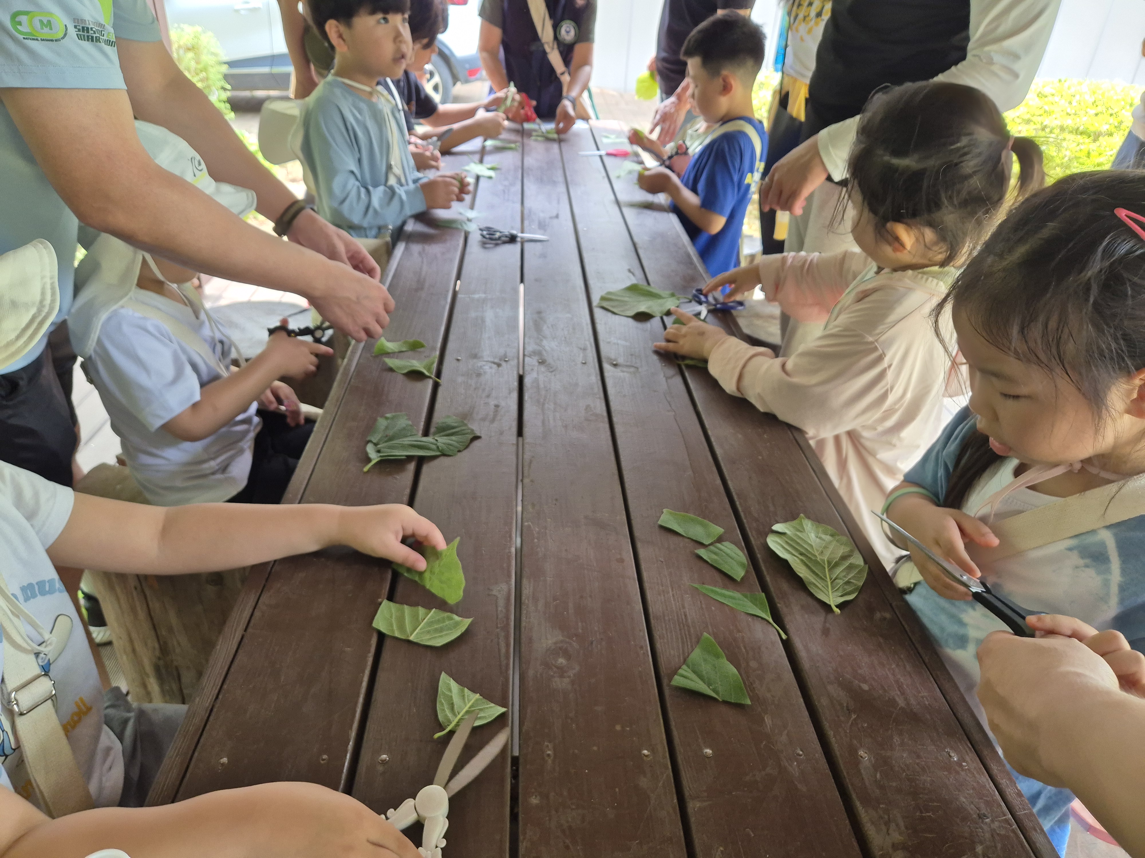 나뭇잎 퍼즐놀이를 통해서 잎이 하는 일을 알아 볼까요