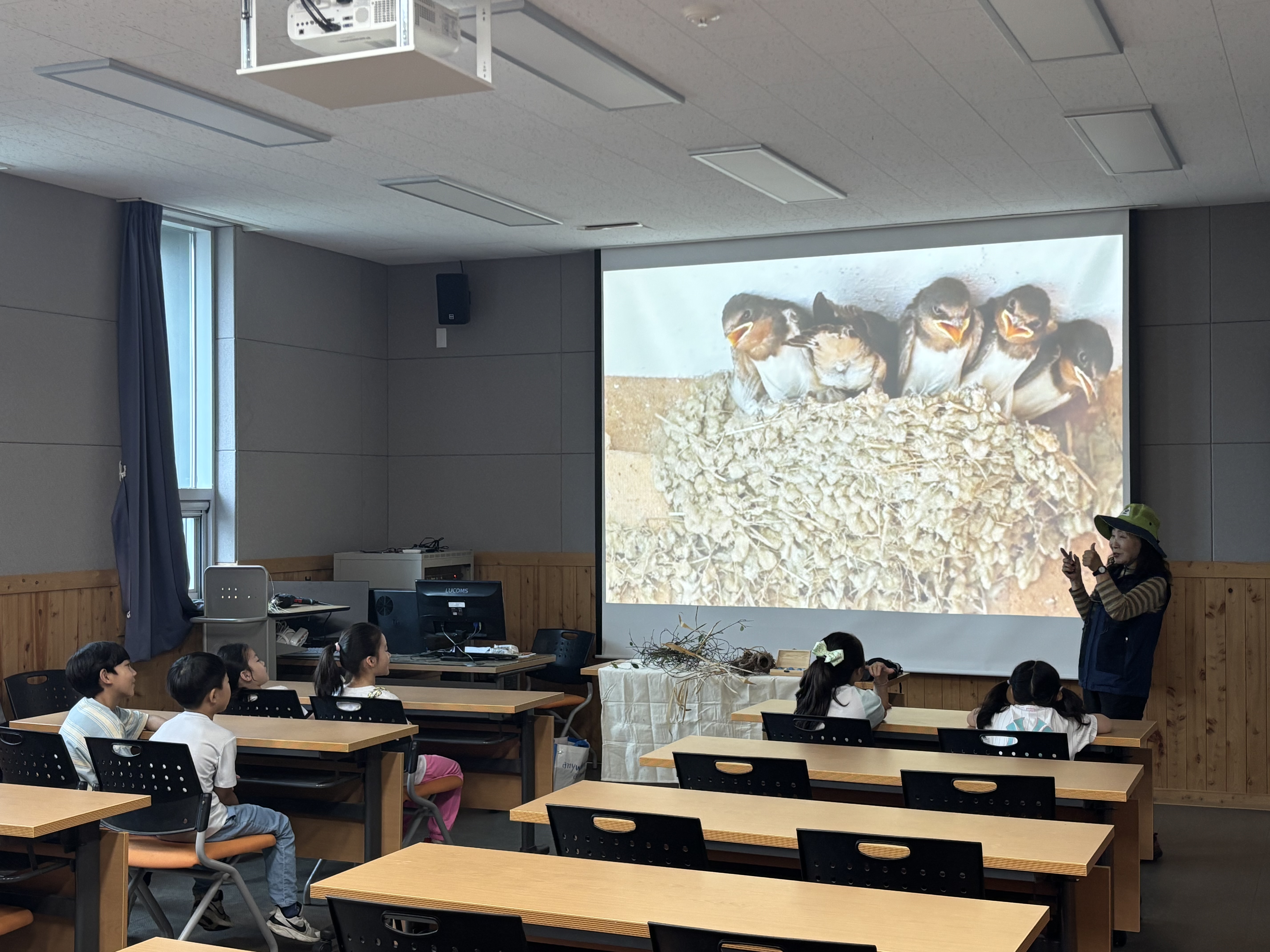 여러가지 새둥지 알아보기