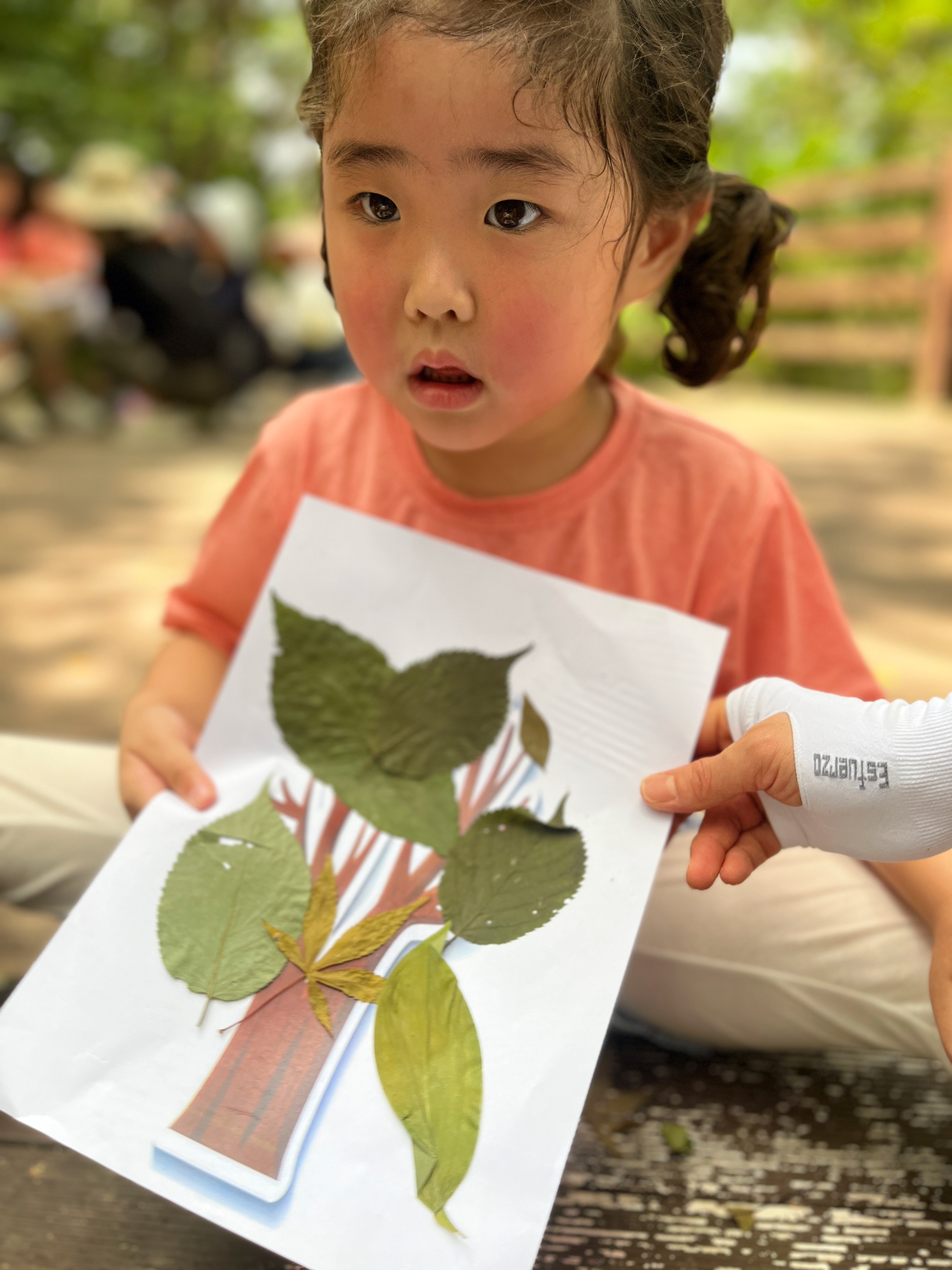 초록초록한 나무가 되었어 내 마음도 초록초록