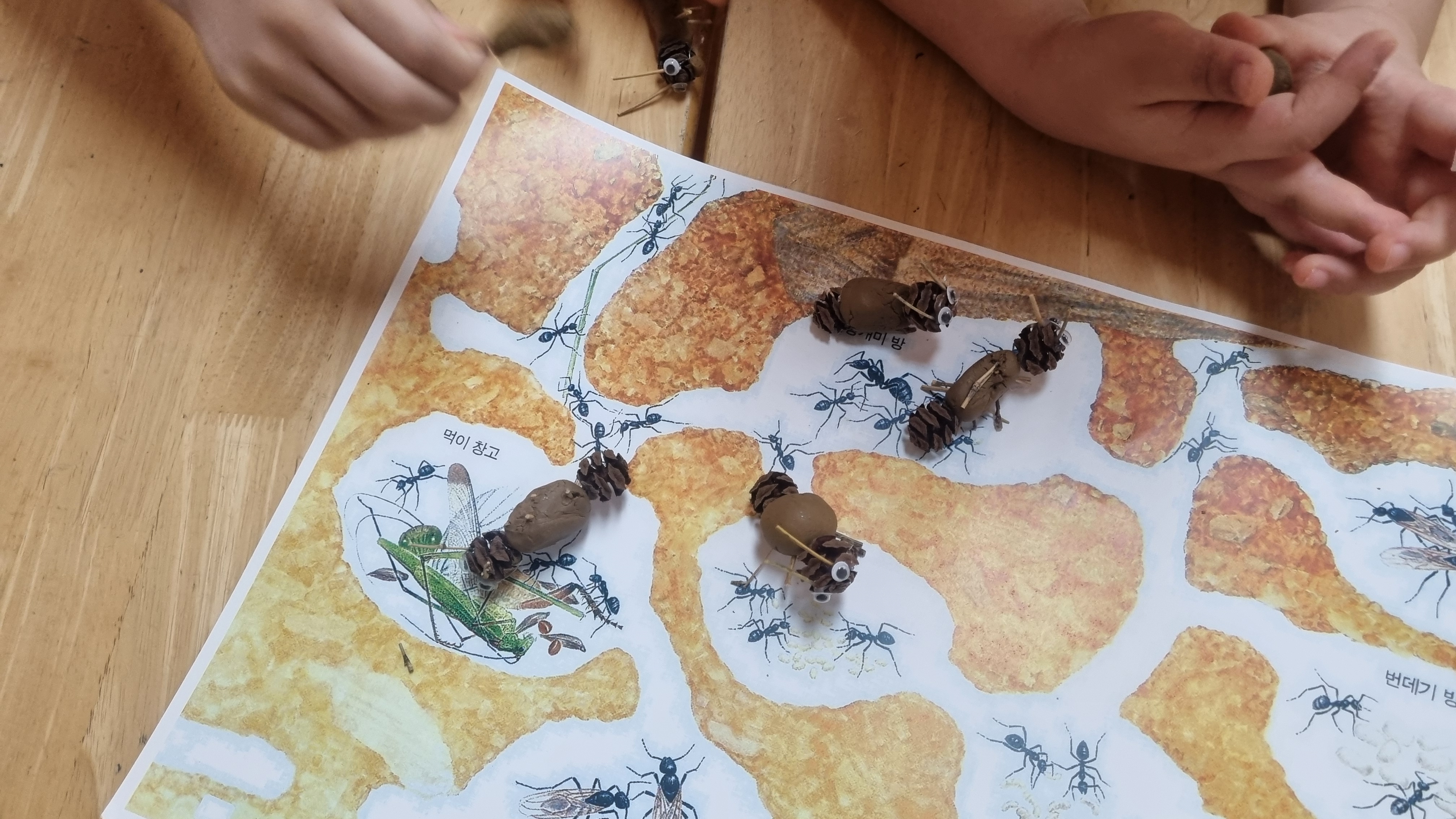 내가 만든 멋진 개미로 개미집을 다녀보아요