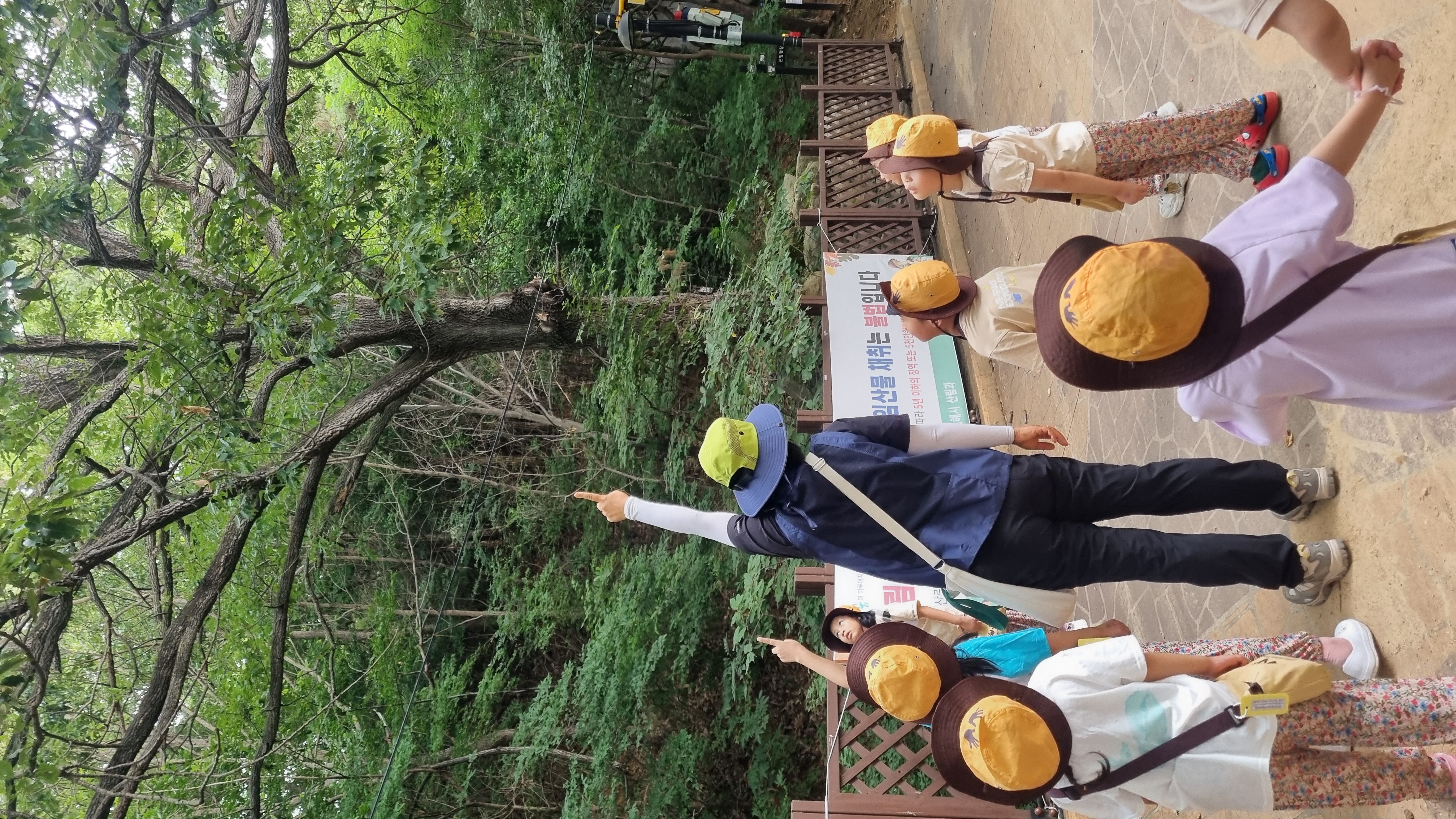 굴참나무 열매를 찾아보아요