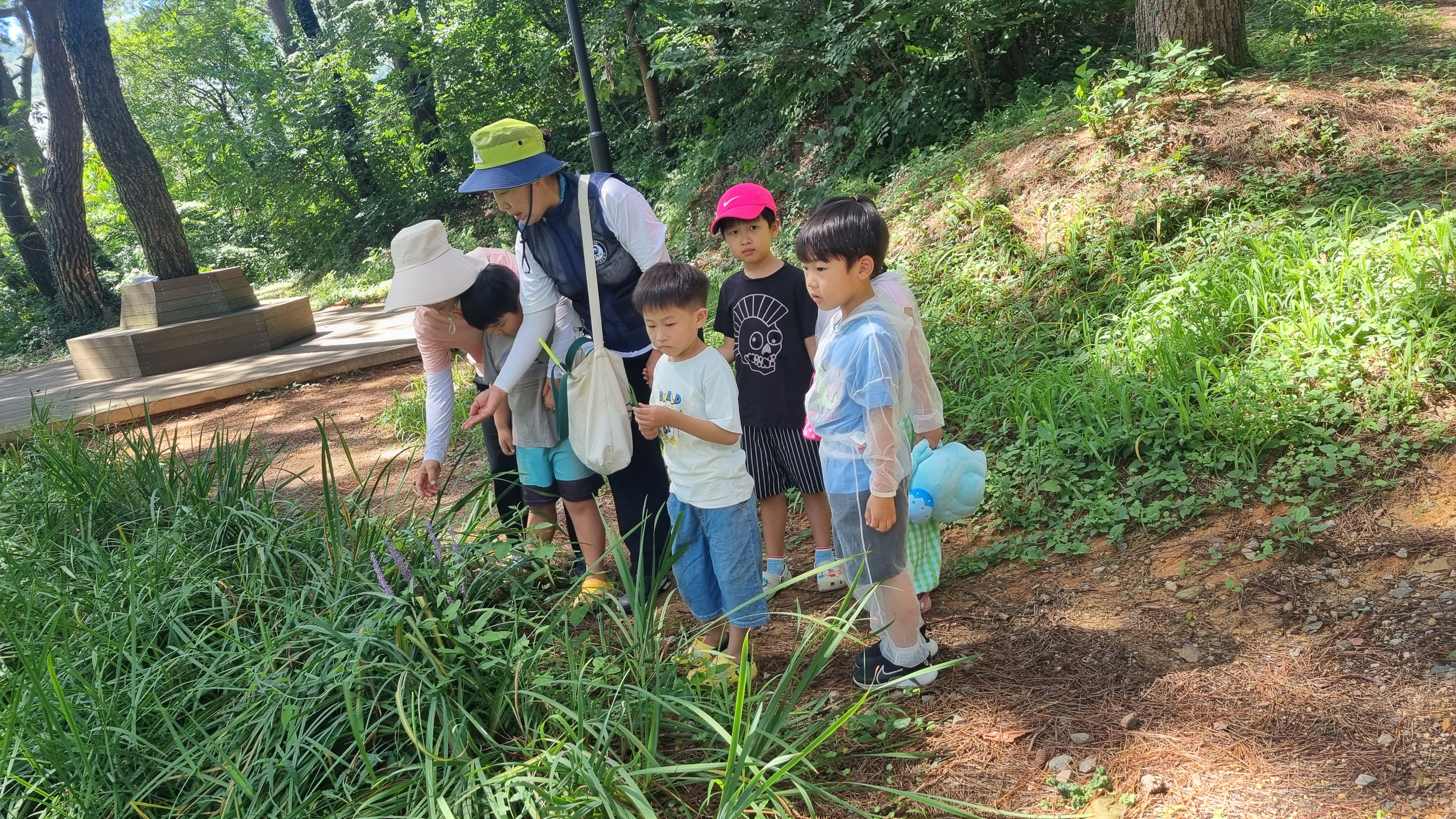 매미 찾으러 숲으로 들어가요.