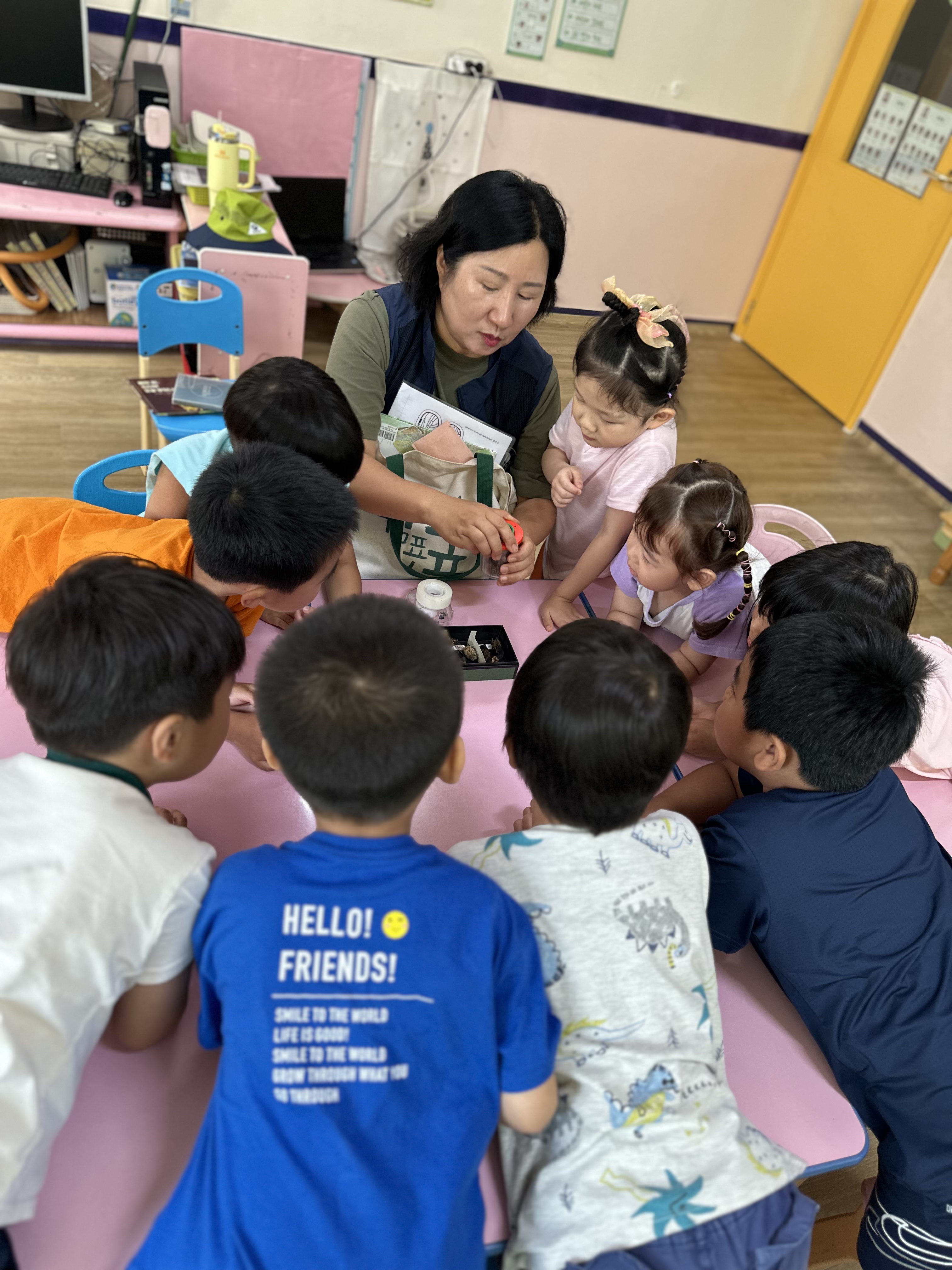 매미를 탐색해요 암매미, 숫매미를 살펴봐요.