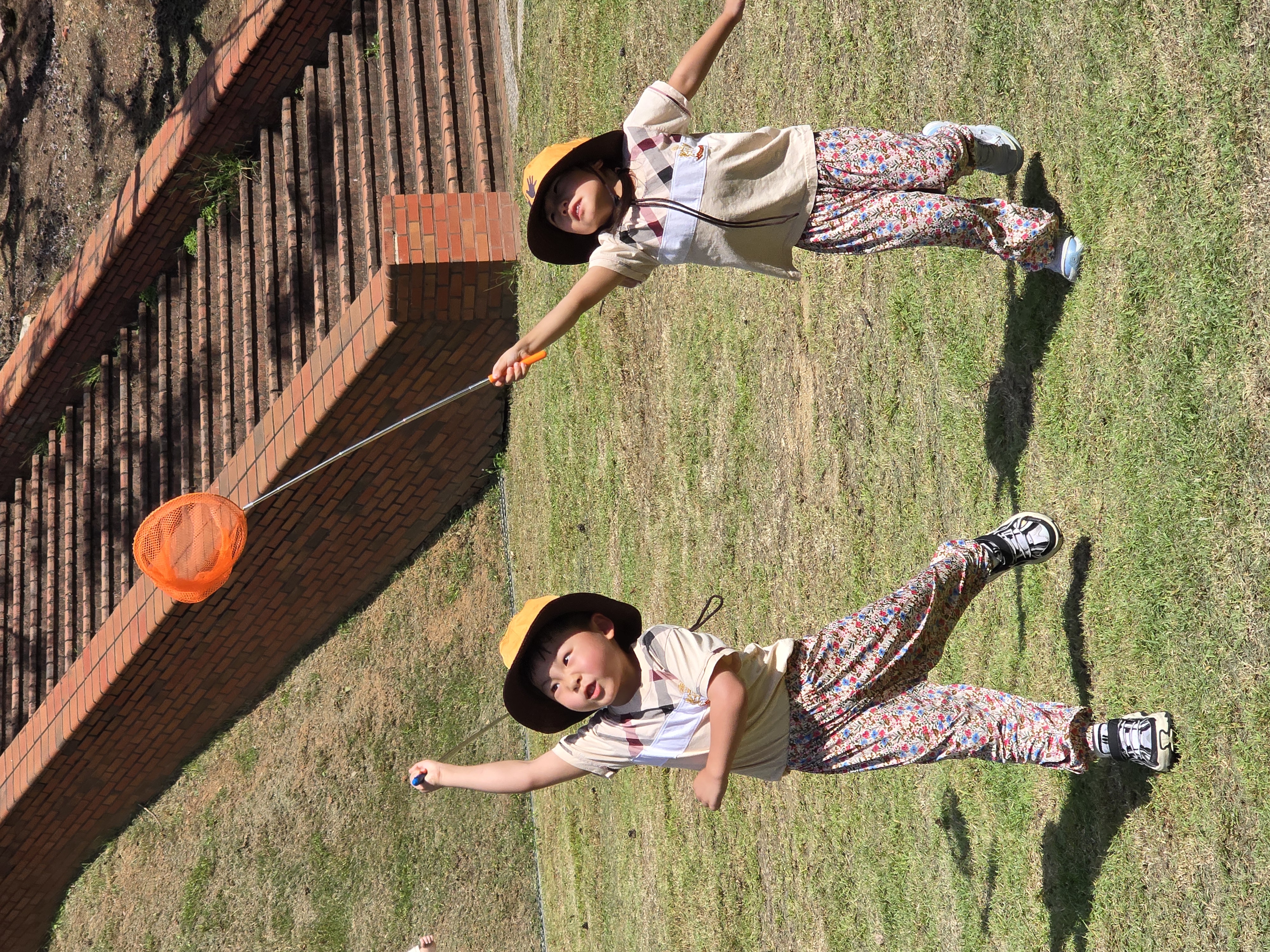 잠자리야 같이 놀자 