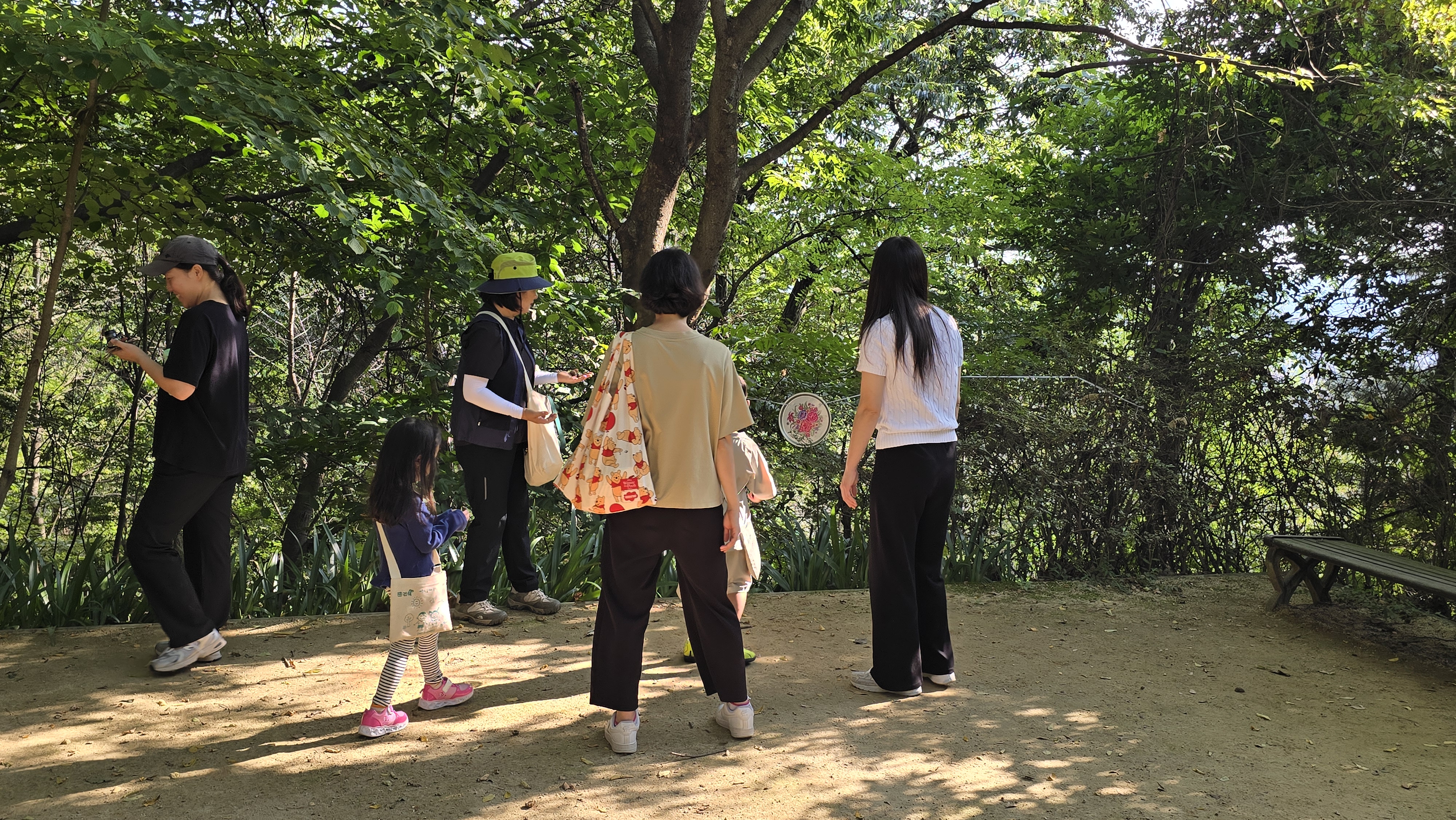 도토리와 밤 자연물을 자연으로 돌려줍니다