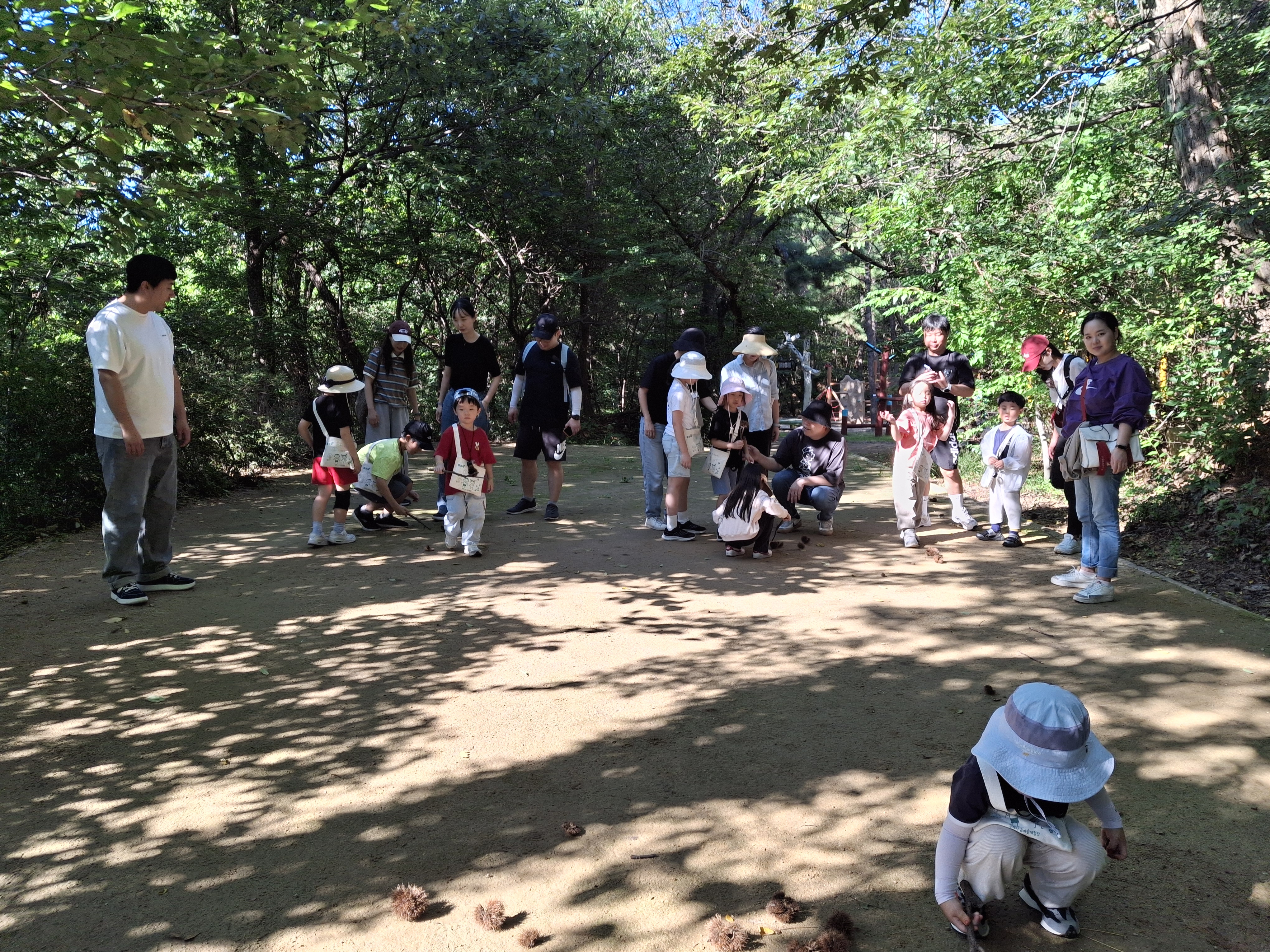 밤송이를 옮기기