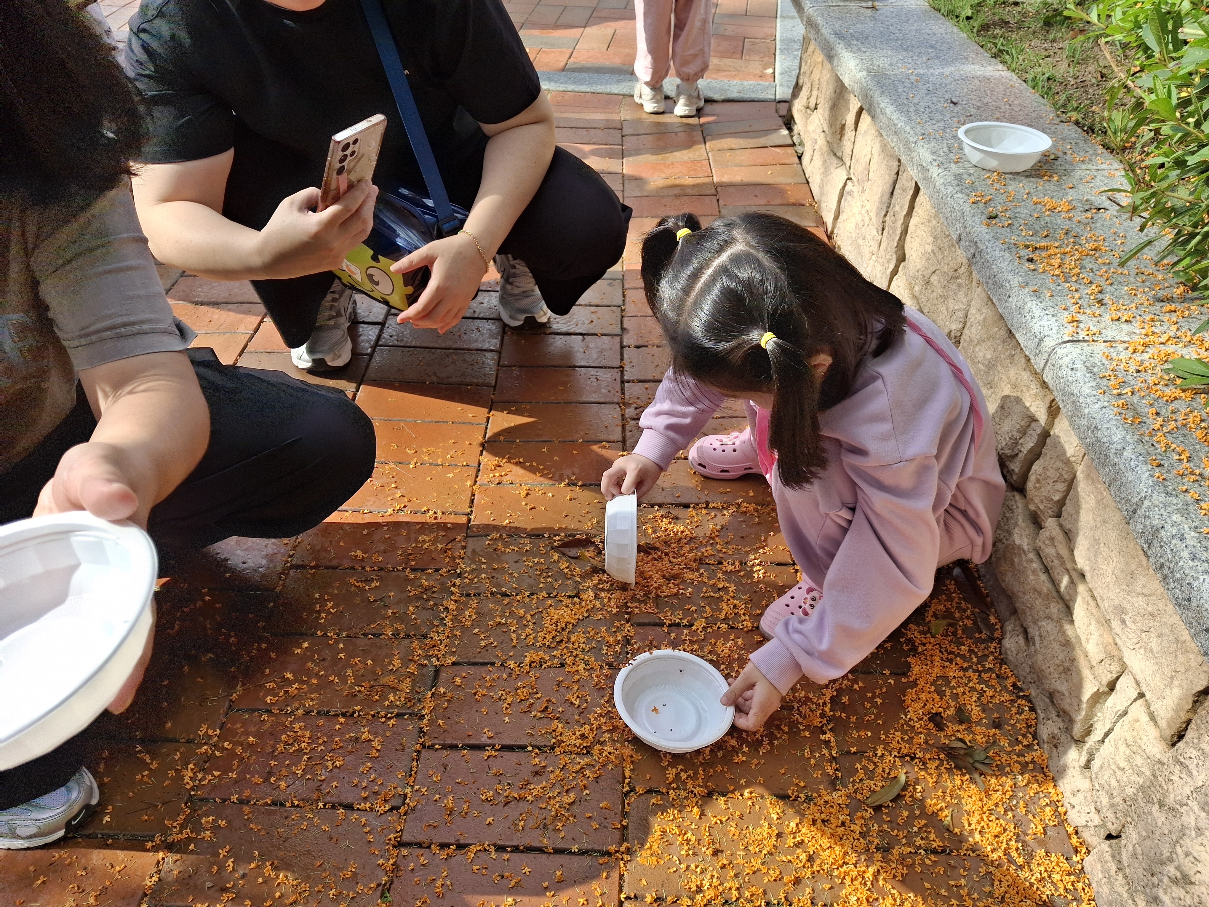 꽃잎으로 놀아요