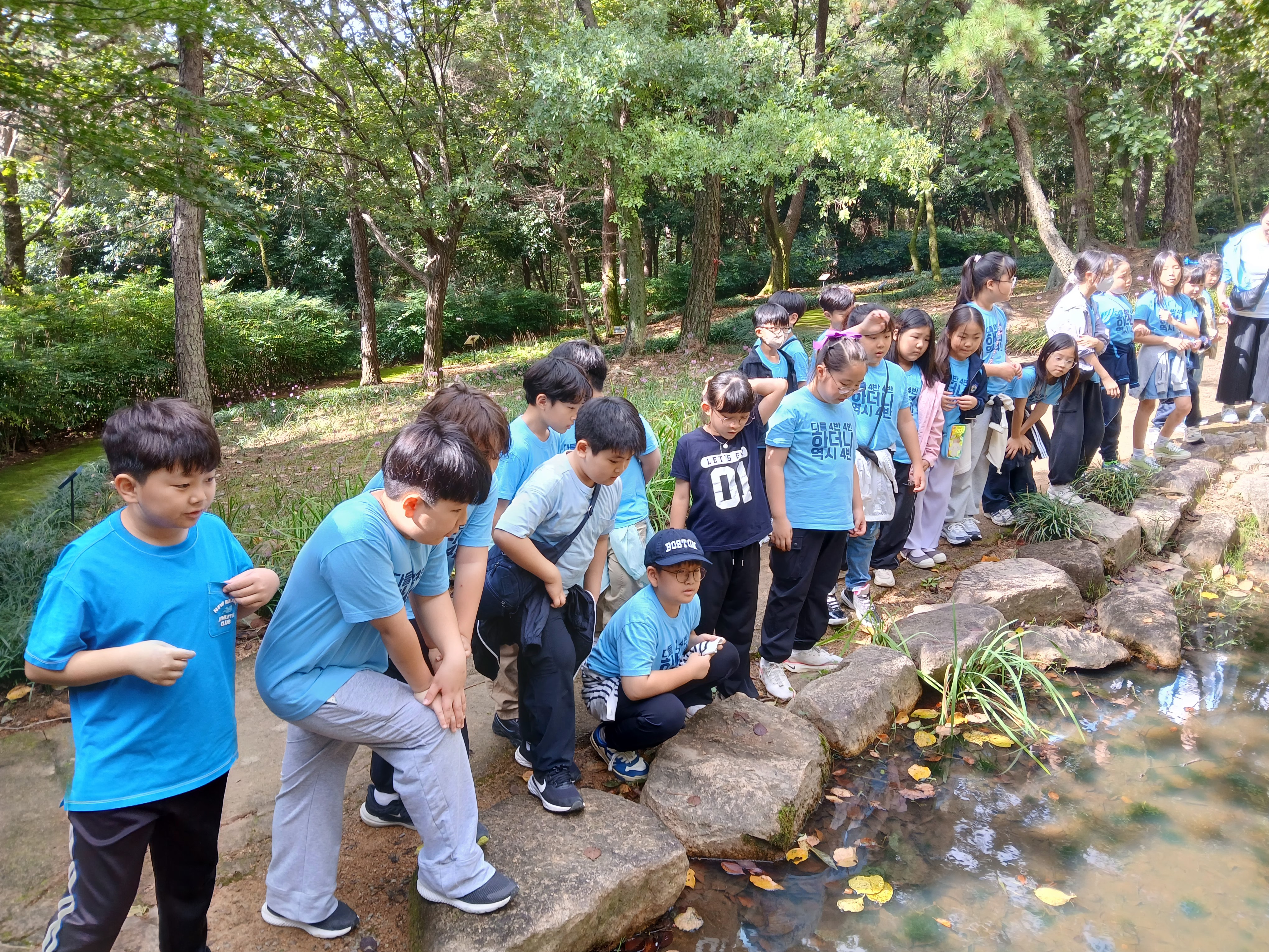 연못 속에 무엇이 있나요 자세히 살펴보아요