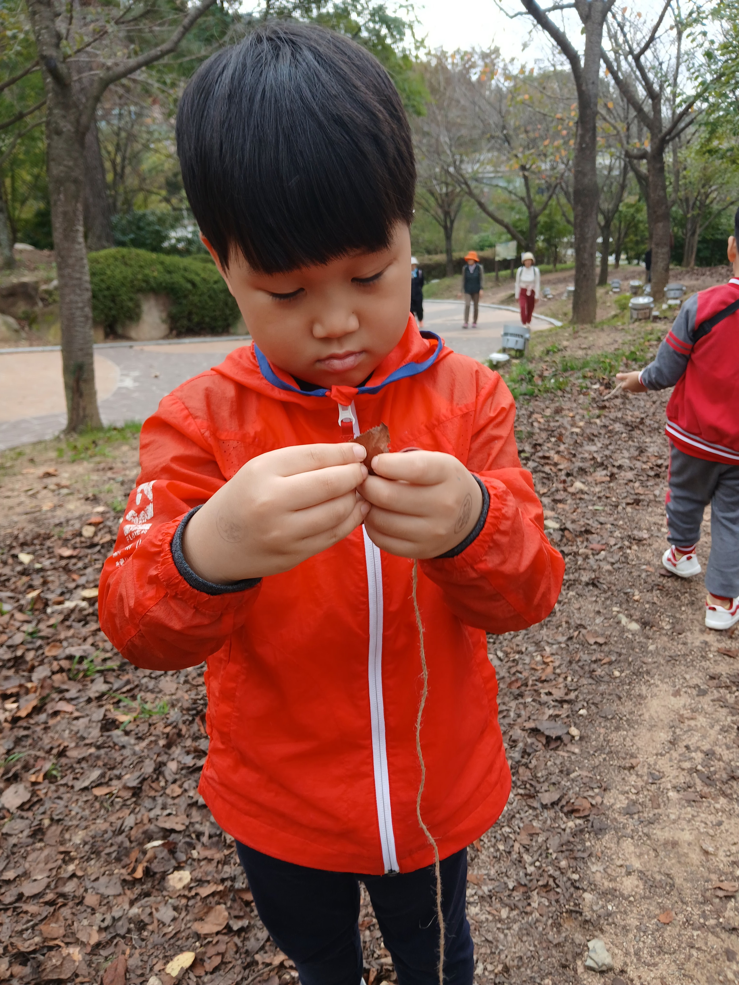 바늘에 낙엽을 궤어보자 신중하게