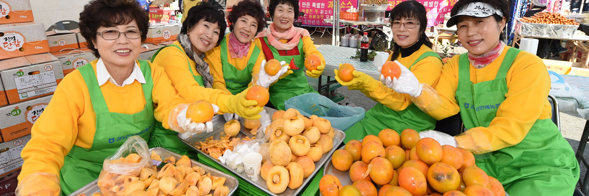 2016년 단감제 사진