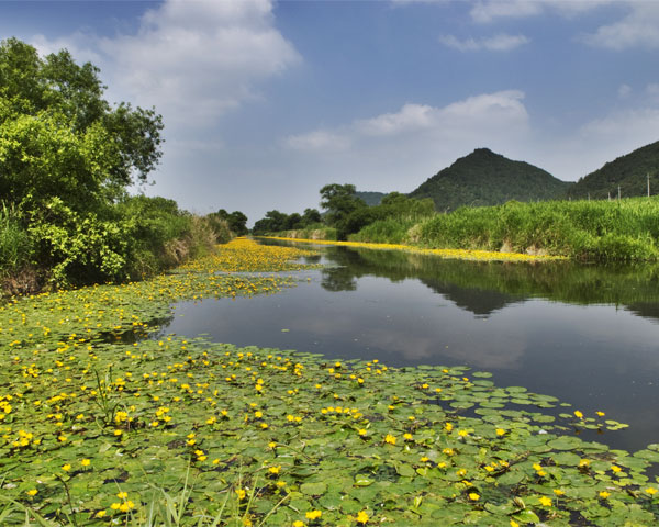 화포천습지생태공원
