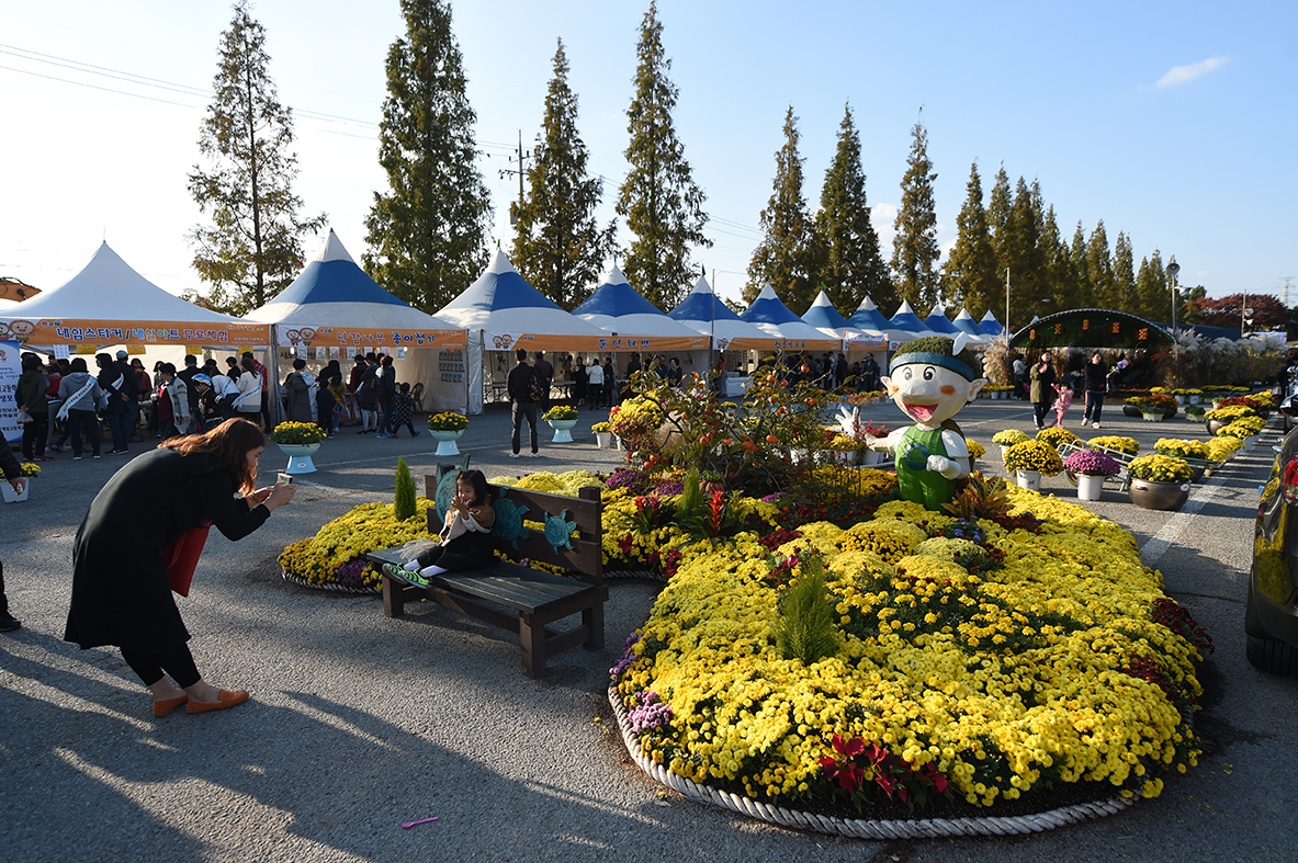 33회 김해진영단감축제