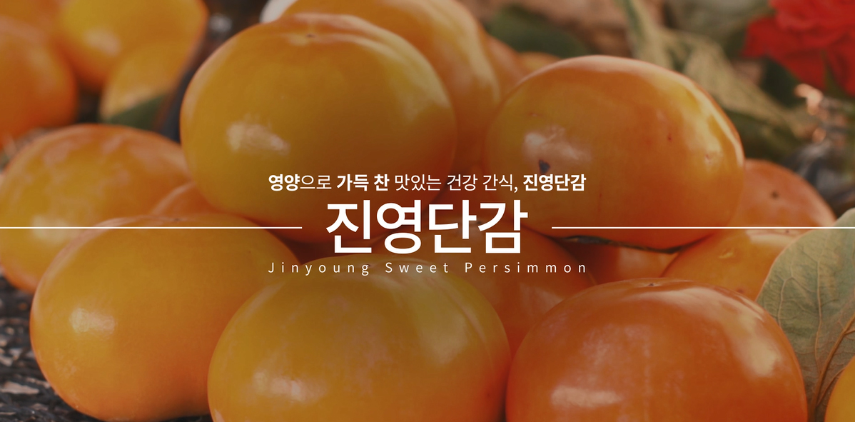 단감 시배지 홍보 동영상